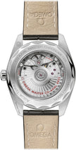 OMEGA Seamaster Aqua Terra Green Dial Men'S Watch 220.13.38.20.60.001 2