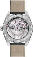 OMEGA Seamaster Aqua Terra Men'S Watch 220.13.41.21.10.001 2