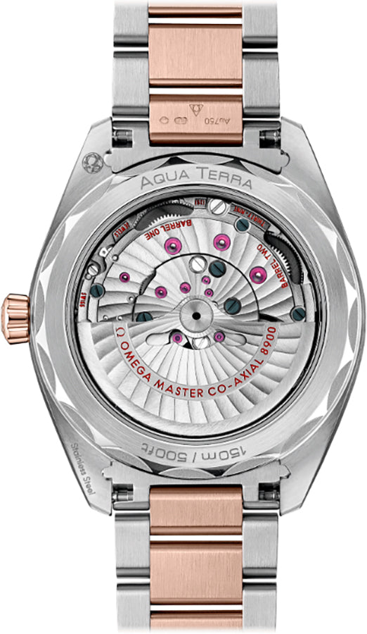 OMEGA Seamaster Aqua Terra Rose Gold Steel Men'S Watch 220.20.41.21.02.001 2