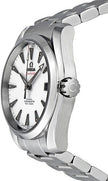 OMEGA Seamaster Aqua Terra Men'S Watch 231.10.39.21.54.001 2
