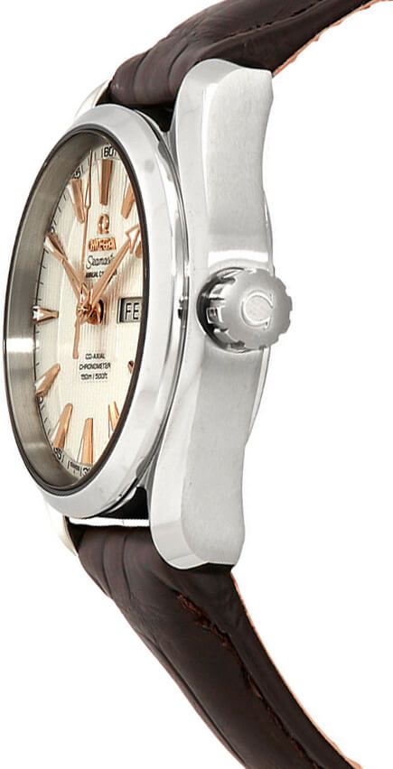 OMEGA Seamaster Aqua Terra Men'S Watch 231.13.39.22.02.001 2