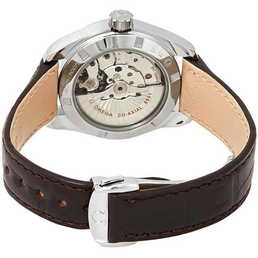OMEGA Seamaster Aqua Terra Men'S Watch 231.13.39.22.02.001 3