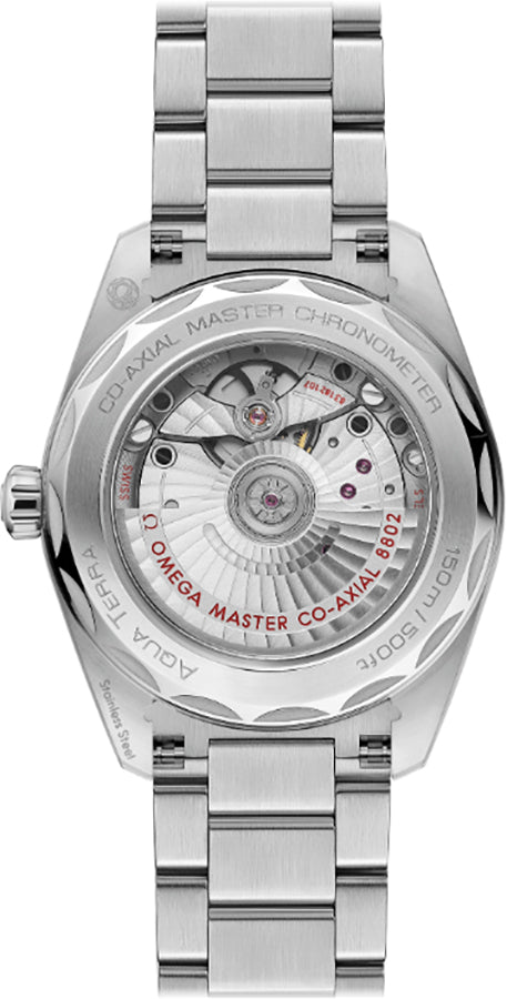 OMEGA Seamaster Aqua Terra Stainless Steel Men'S Watch 220.10.38.20.10.001 2