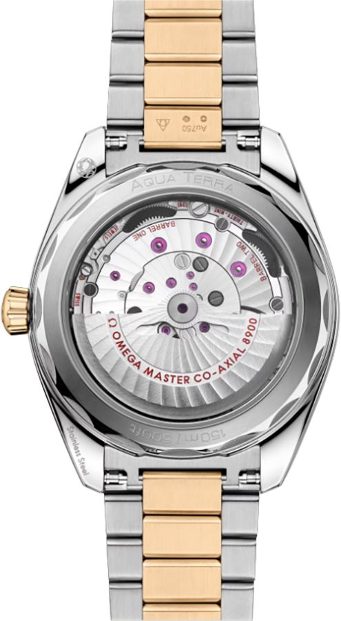 OMEGA Seamaster Aqua Terra Yellow Gold & Steel Men'S Watch 220.20.41.21.01.001 3