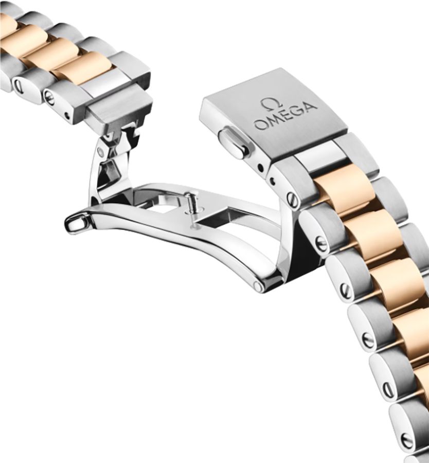 OMEGA Seamaster Aqua Terra Yellow Gold & Steel Men'S Watch 220.20.41.21.01.001 4