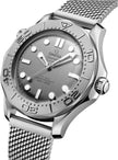 OMEGA Seamaster Diver 300M Grey Dial Steel Men'S Watch 210.30.42.20.06.002 2