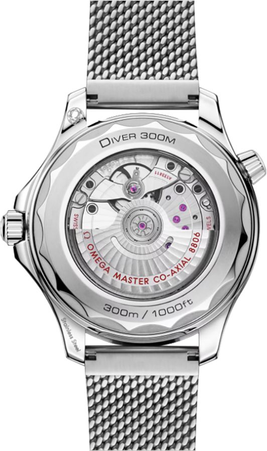 OMEGA Seamaster Diver 300M Grey Dial Steel Men'S Watch 210.30.42.20.06.002 3