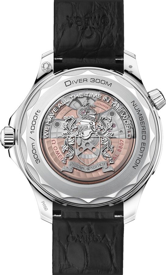 OMEGA Seamaster Limited 1 Of 50 Platinum James Bond 210.93.42.20.01.001 3