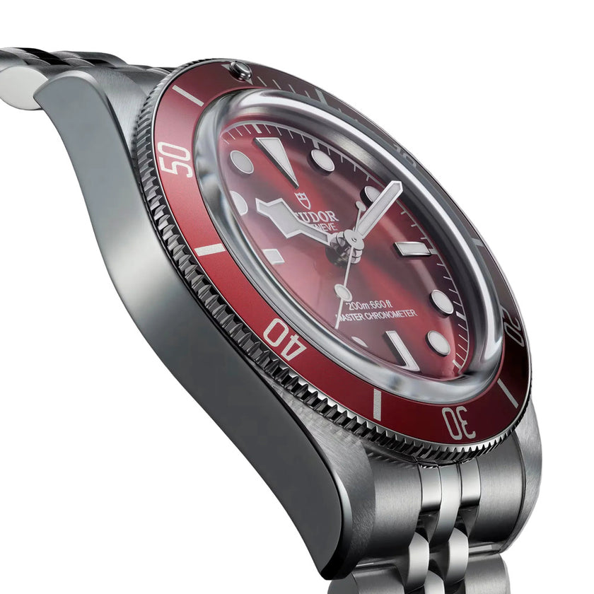 TUDOR Black Bay 58 Burgundy Dial Men'S Watch 7939A1A0Ru-0001 2