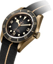 TUDOR Black Bay Bronze Slate Grey Dial Men'S Watch M79250Ba-0002 2