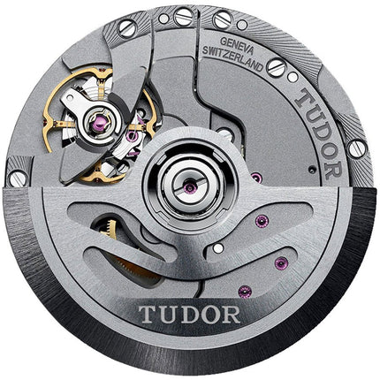 TUDOR Pelagos Men'S Automatic Watch M25610Tnl-0002 3