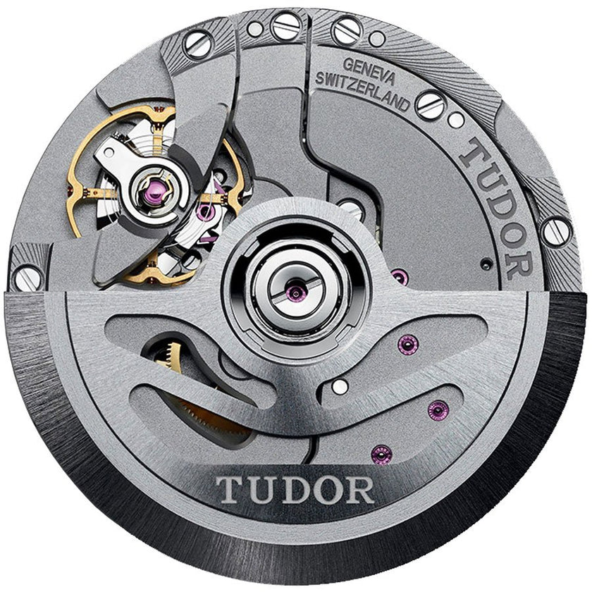 TUDOR Pelagos Men'S Automatic Watch M25610Tnl-0002 3